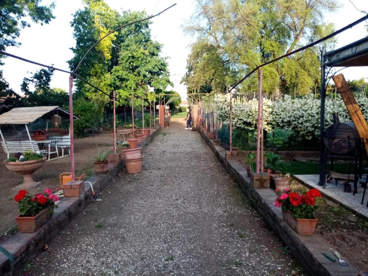 Alle vecchie mura Pistoia Extérieur photo